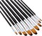 Artist Paint Brushes Set,9 Pcs Professional Filbert Brushes for Acrylic Oil Watercolor Gouache Painting Kits with Long Handle Nylon Hair Black
